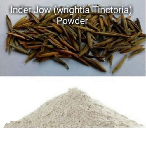 100% PURE KARVA INDRAJAU BITTER OLEANDER HOLARRHENA PUBESCENS – Powder