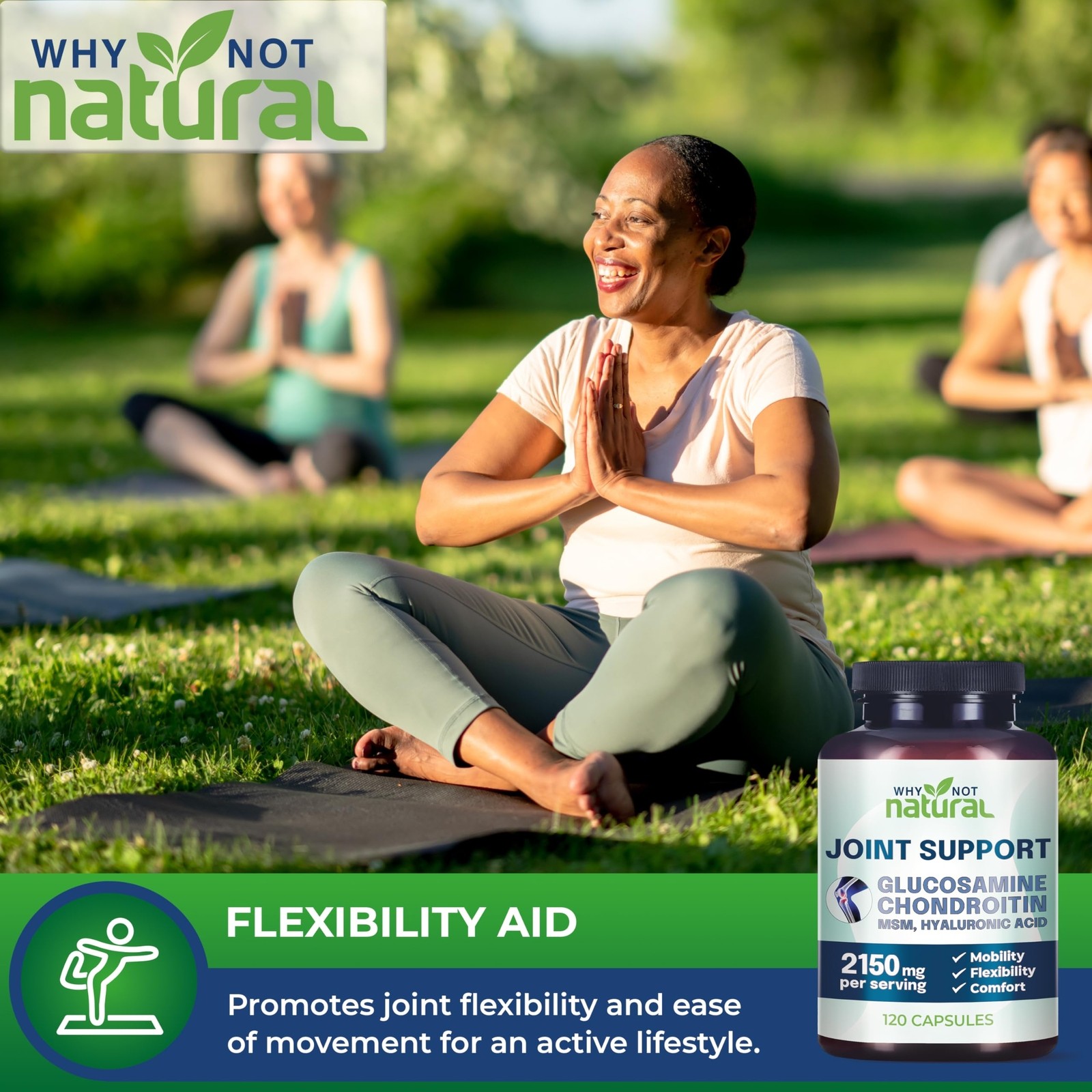 Why Not Natural Glucosamine Chondroitin MSM Joint Support Knee Health