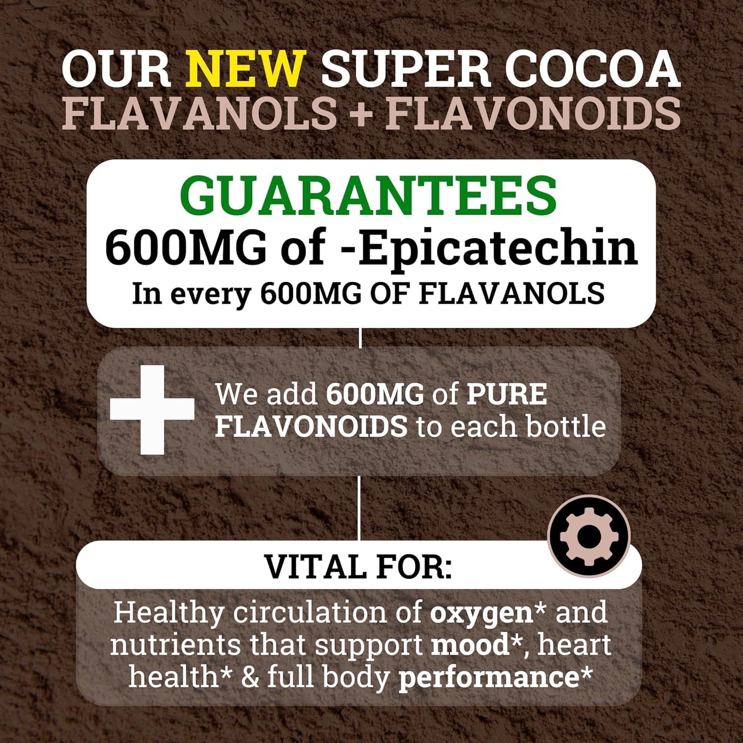 2 PCS Black Forest High Flavanol Cocoa Powder (1200mg Flavanols & Flavonoids Sup