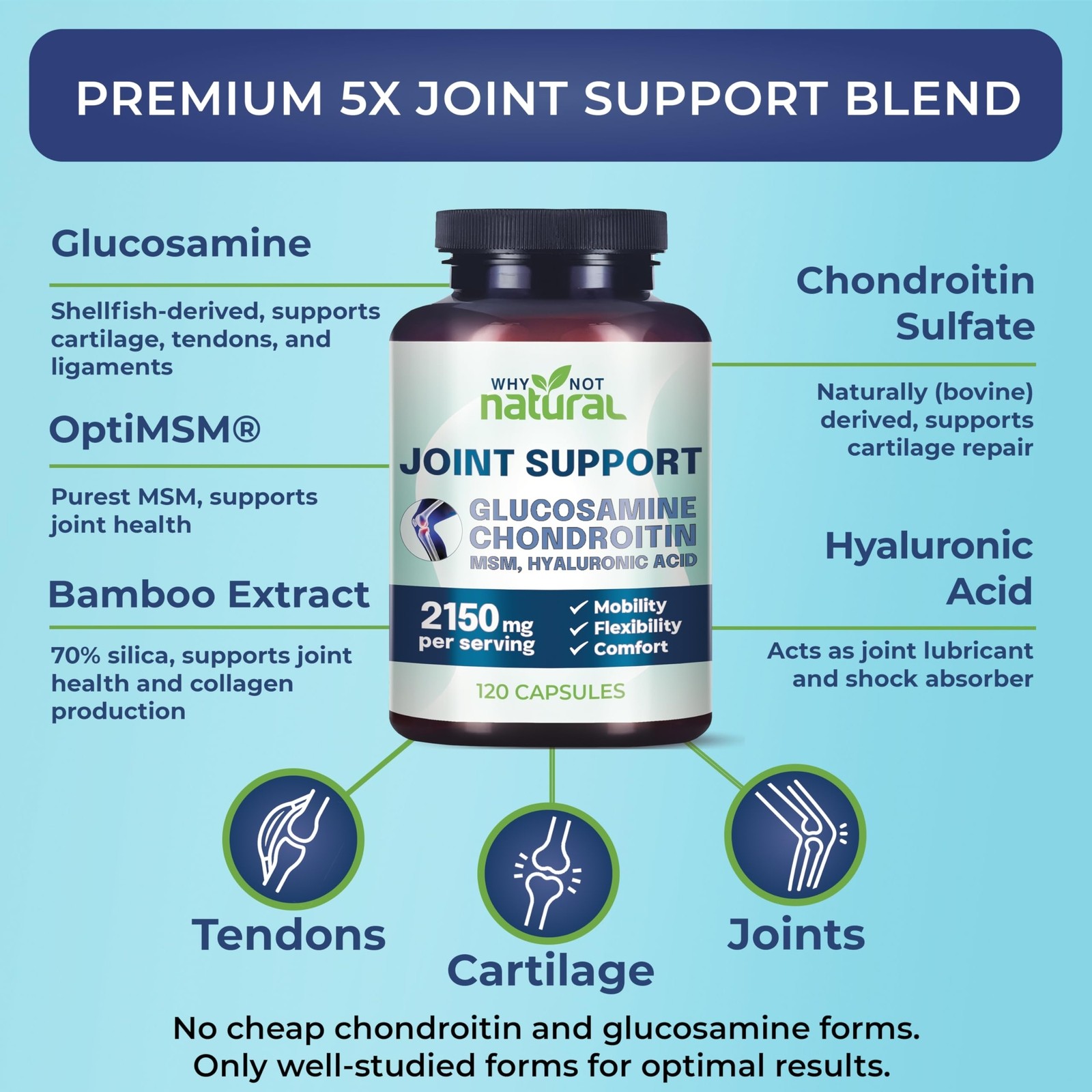 Why Not Natural Glucosamine Chondroitin MSM Joint Support Knee Health