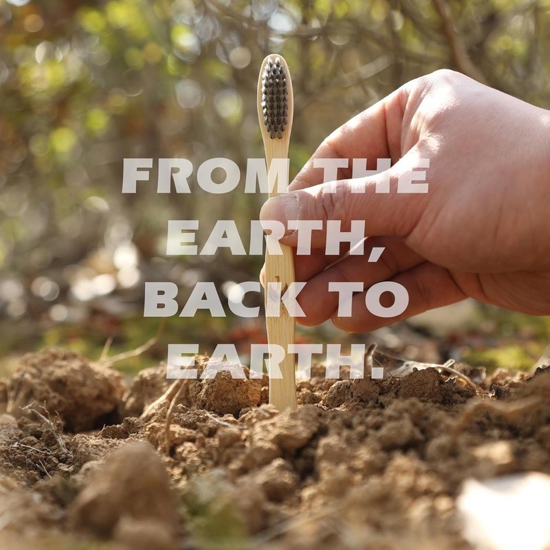 Biodegradable Bamboo Toothbrush Soft Bristles Eco Friendly Oral Care Pack of 12