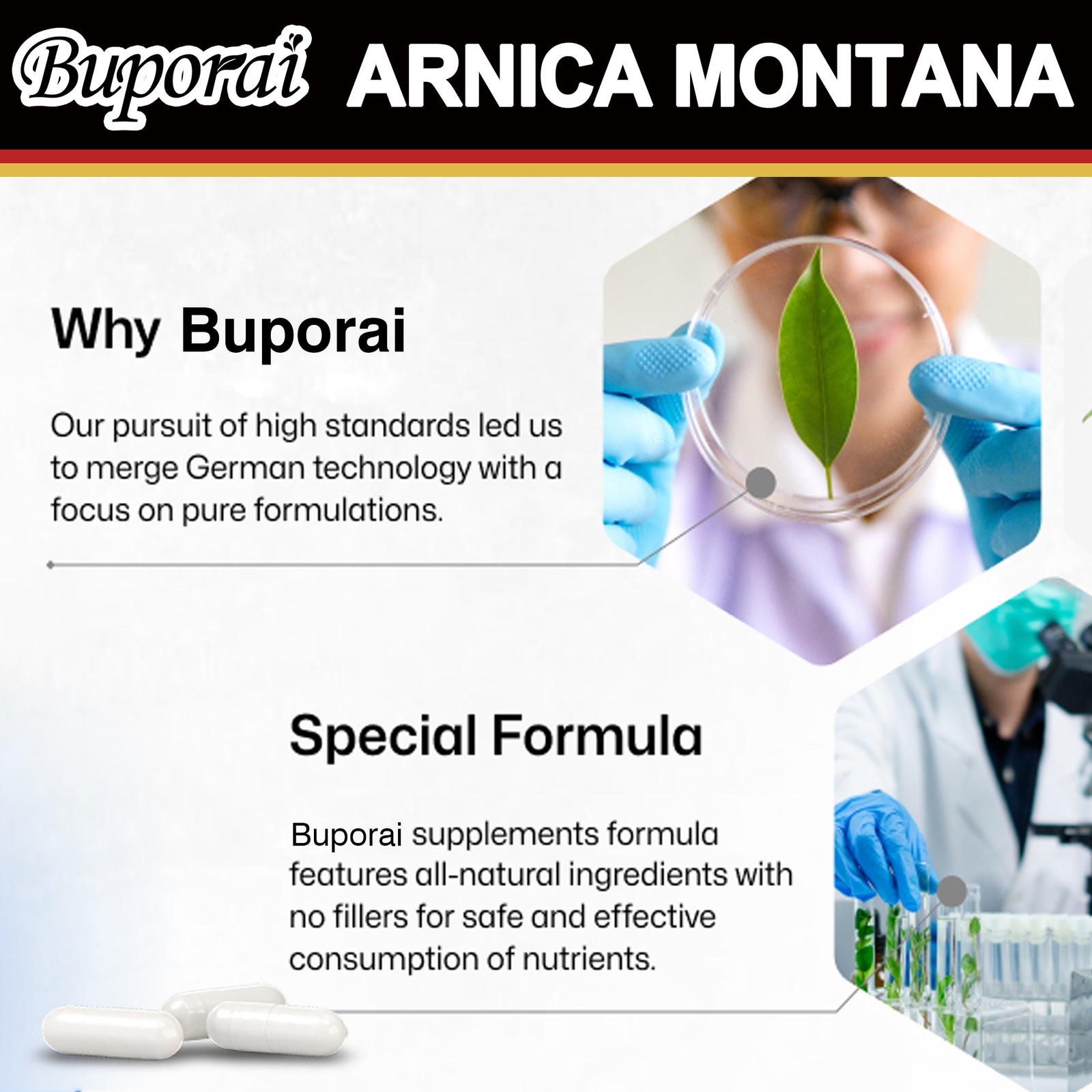 Arnica Montana 500mg -High Potency,Pain,Bruises Relief,Anti-Inflammatory Support