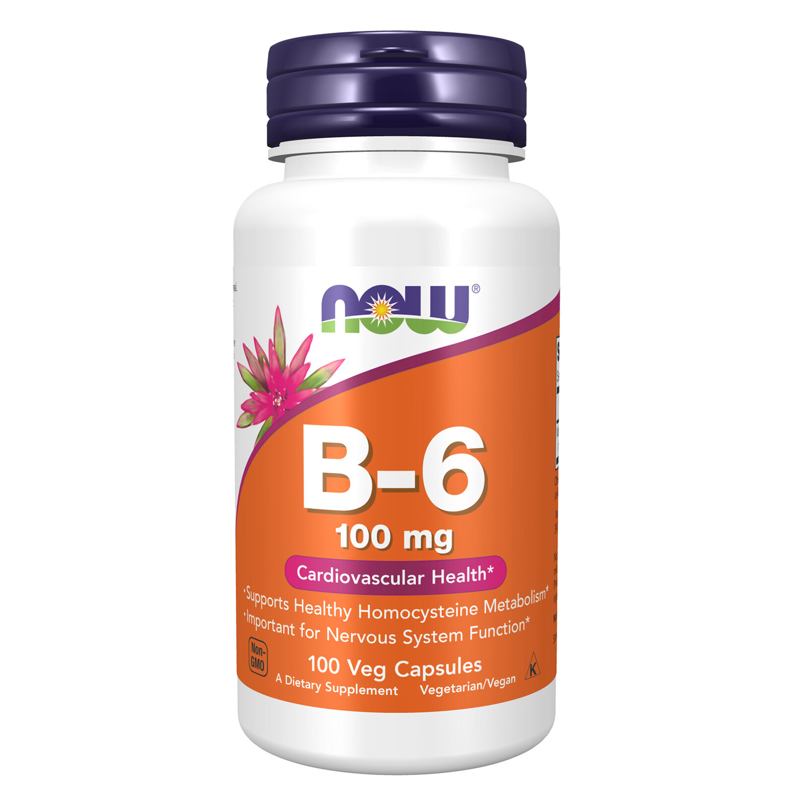 NOW FOODS Vitamin B-6 100 mg 100 Veg Capsules