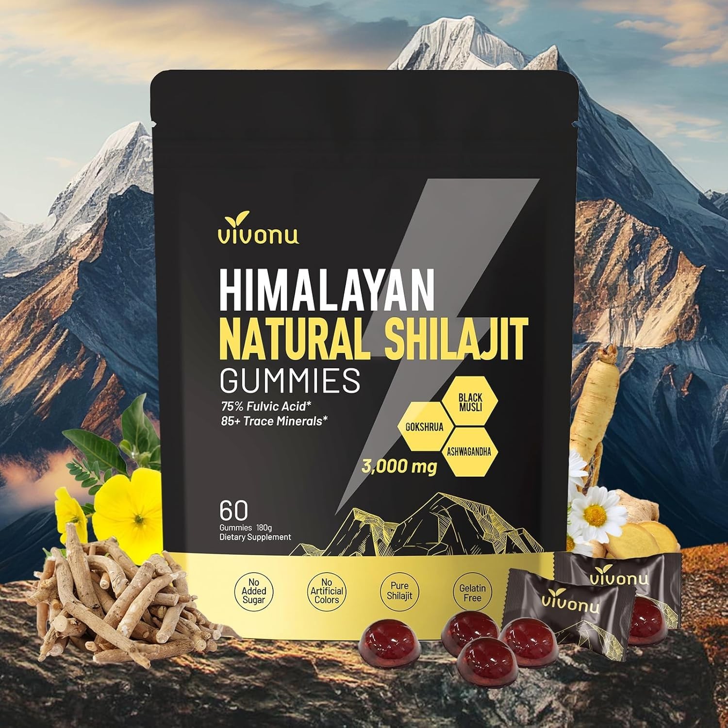 VivoNu Pure Himalayan Shilajit Gummies with 60 Count (Pack of 1)