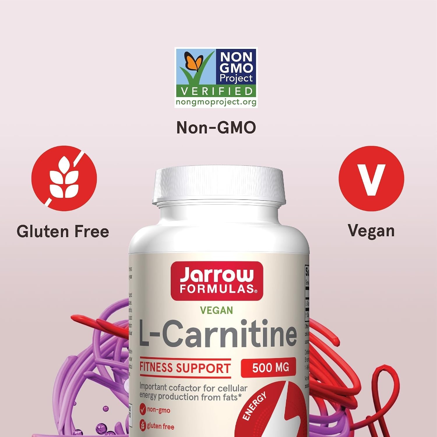 L-Carnitine 500 mg – 100 Capsules for Energy Support & Fat Metabolism