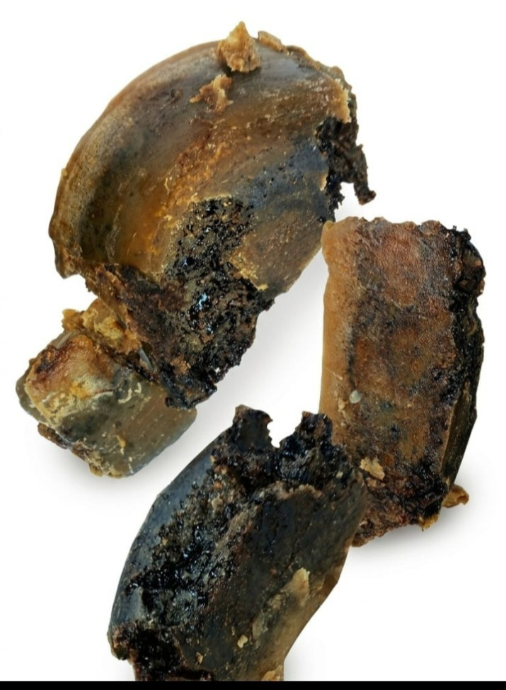 Ultra-Rare Black & Grey Arabian Ambergris | Unique Marine Note | 30 years 10G