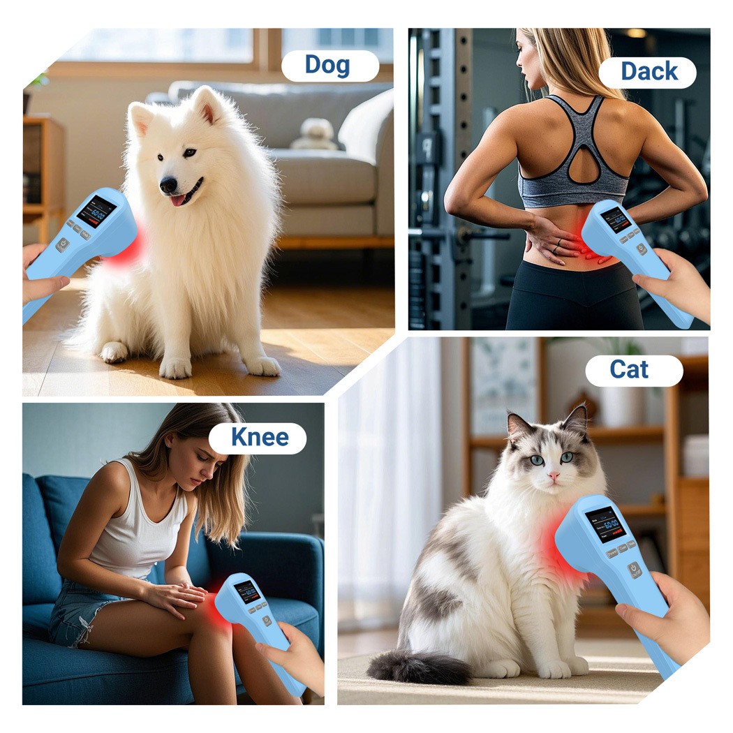 880mW LLLT Laser Therapy 650nm 808nm Red Light for Humans & Animals Pain Relief
