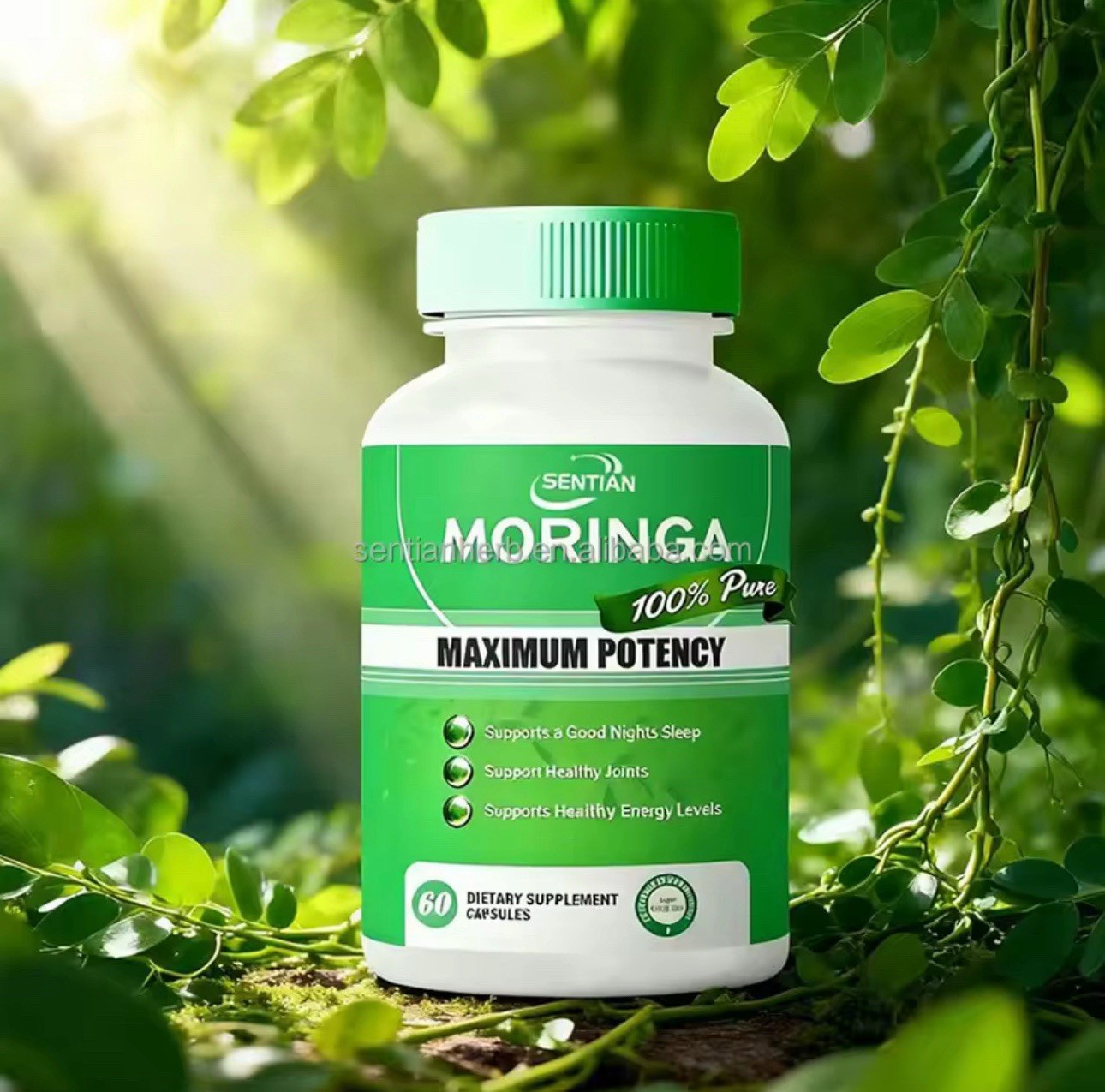 DEZEN Organic Moringa Powder Capsules, Superfood, 60 Caps Each, Vegan, Non‑GMO