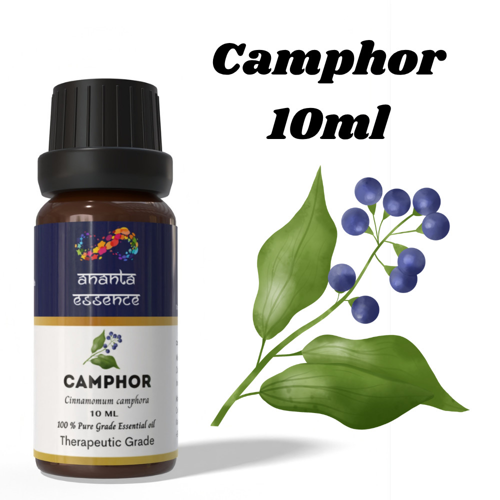 Ananta Camphor Essential Oil 10ml Pure Natural Aromatherapy Diffuser Oil